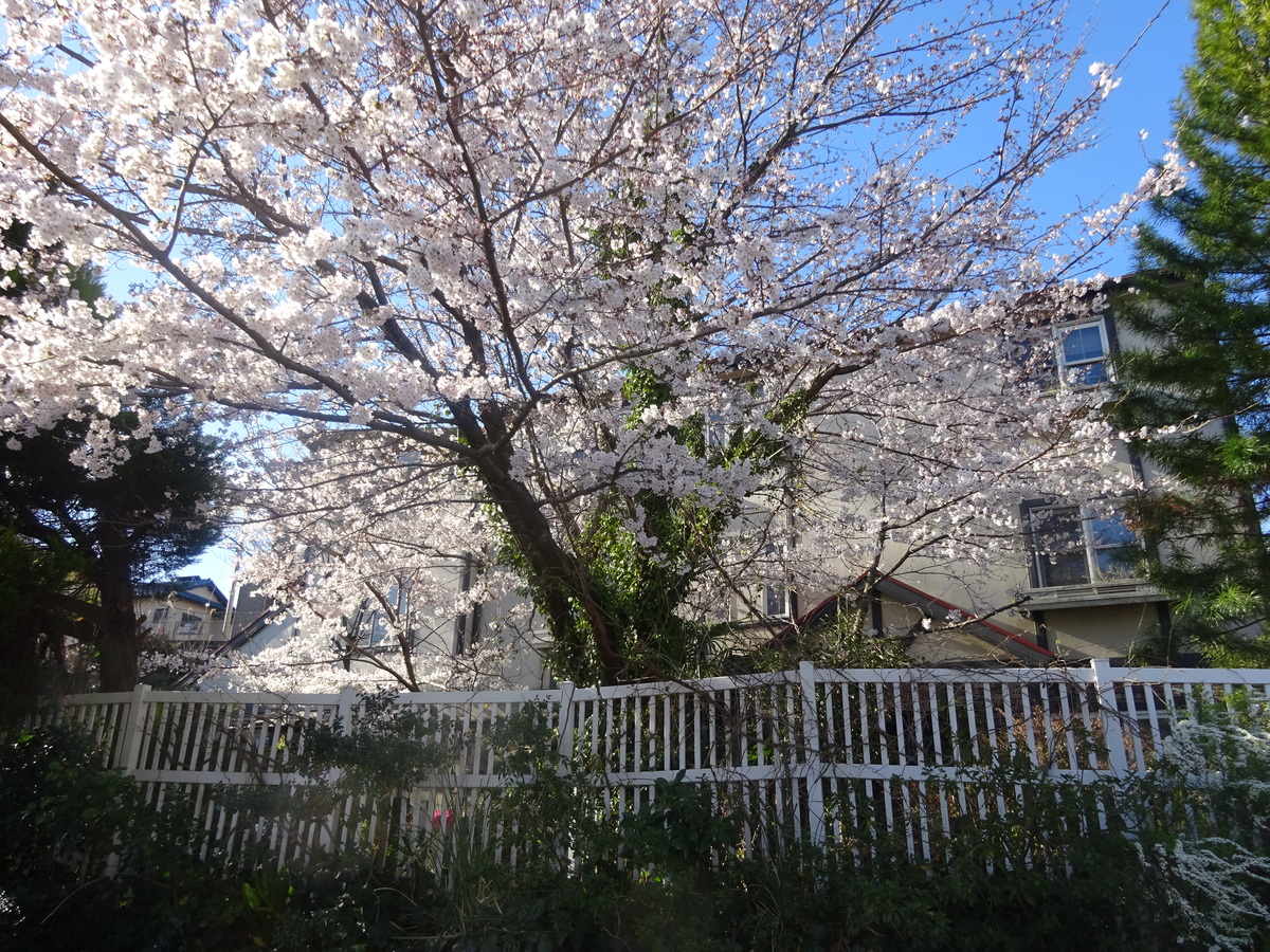 明日ありと思う心の仇桜 養豚業 畜産資材 フロンティアインターナショナル