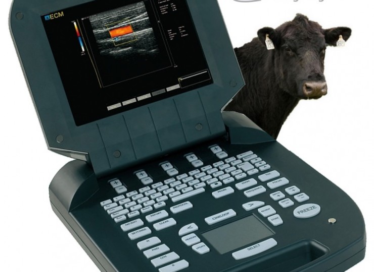 牛用超音波診断器