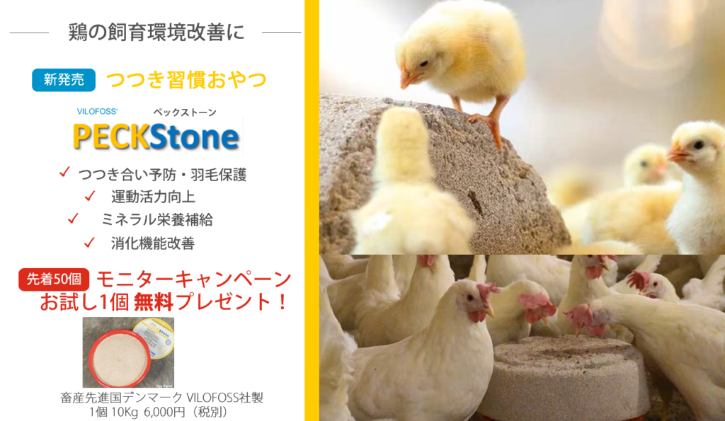 養鶏場での鶏のつつき合い予防「つつき習慣おやつ」ペックストーン無料モニター募集キャンペーン